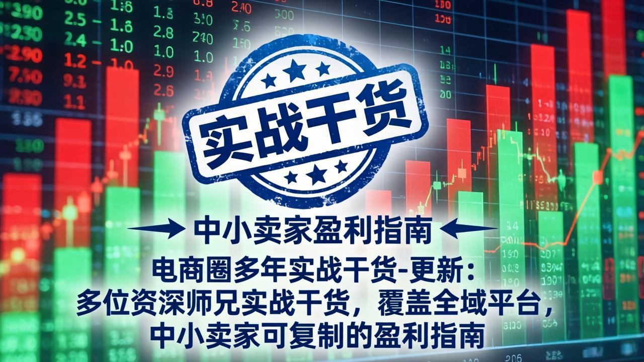 （19761期）电商圈多年实战干货-更新2026：多位资深师兄实战干货/覆盖全域平台，中小卖家可复制的盈利指南-千寻创业网